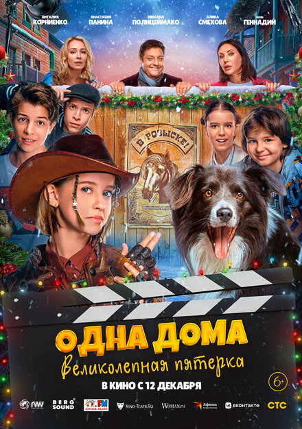Одна дома: Великолепная пятерка 